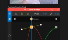 视频视频,一窥全貌